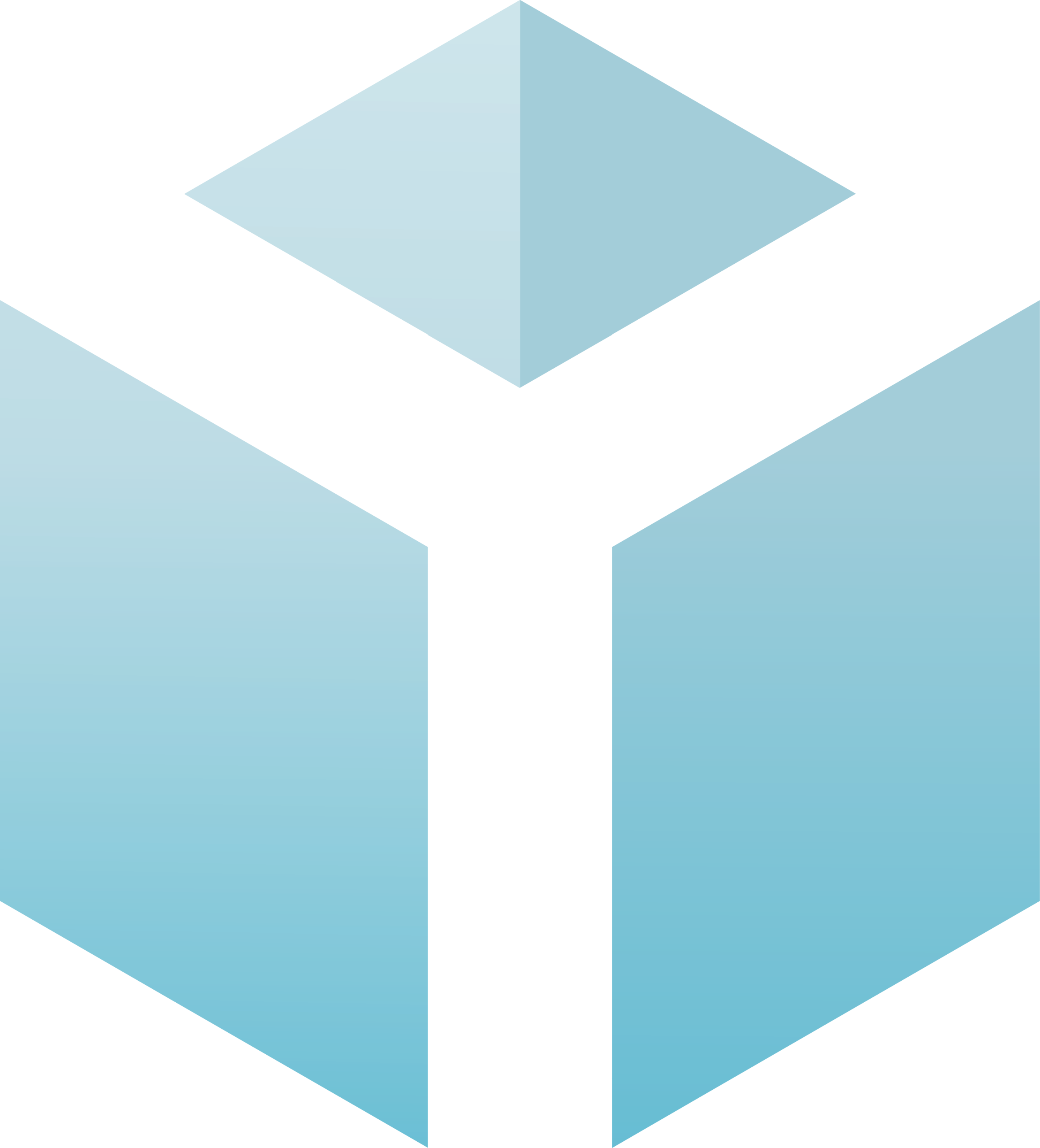 ידין ישראלי